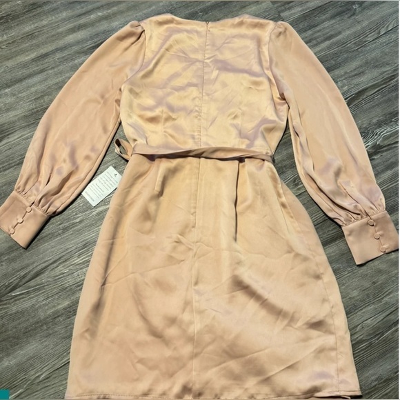Adelyn Rae Abby Faux Wrap V-neck Mini Dress Long Sleeve
Pink Satin Size M Nwt - Picture 3 of 3